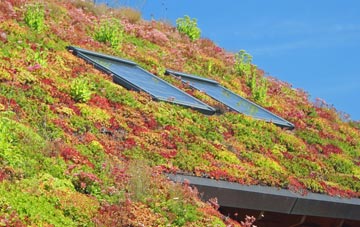 Bestwood living roof systems